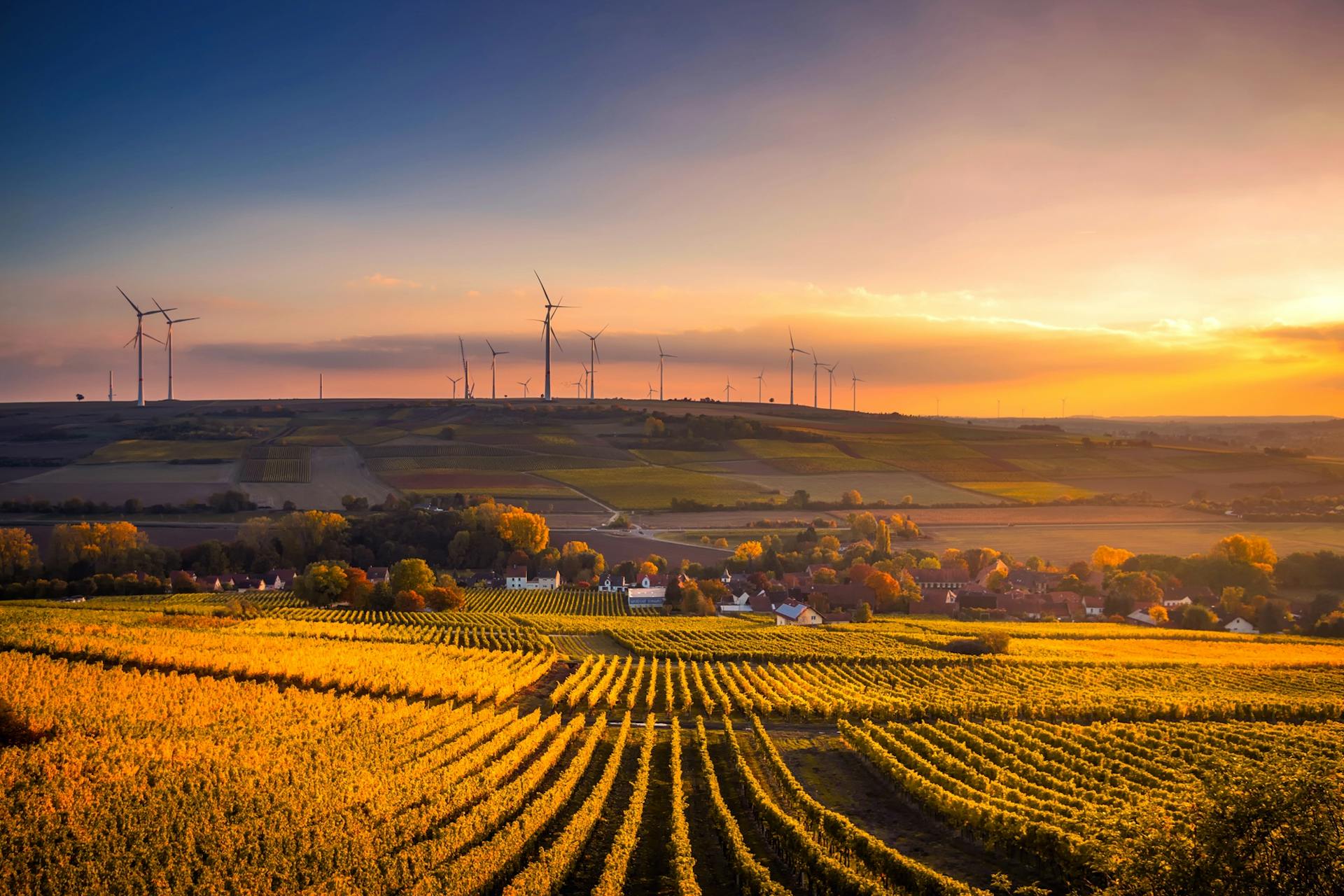 MAINTEX results - energy performance