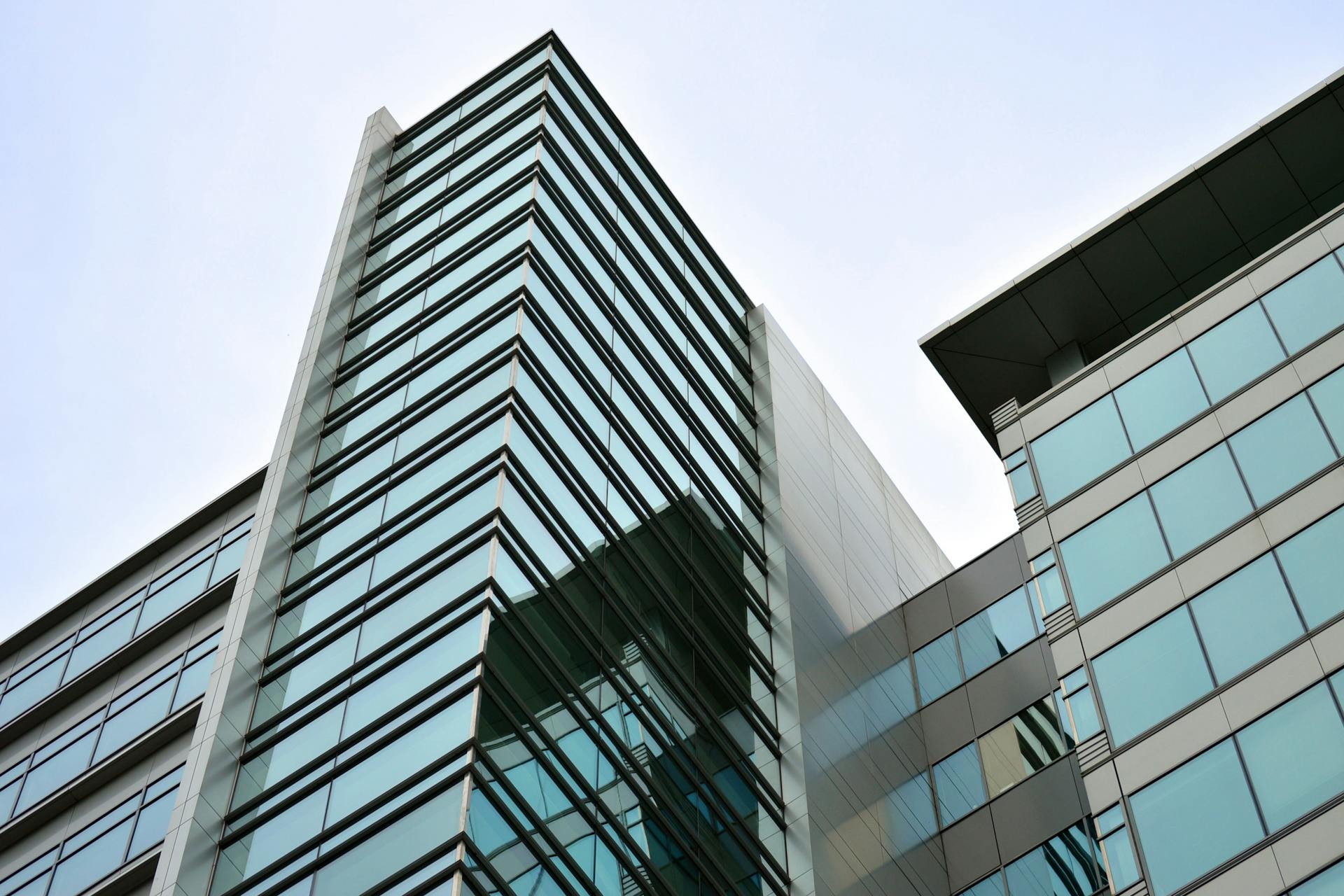 Resultados MAINTEX - sector inmobiliario